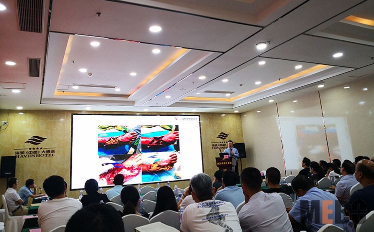 威客电竞(vkgame)-为竞技而生