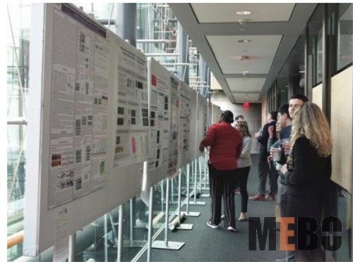 威客电竞(vkgame)-为竞技而生