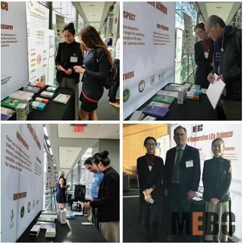 威客电竞(vkgame)-为竞技而生