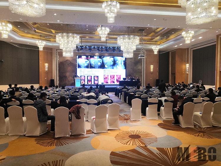 威客电竞(vkgame)-为竞技而生