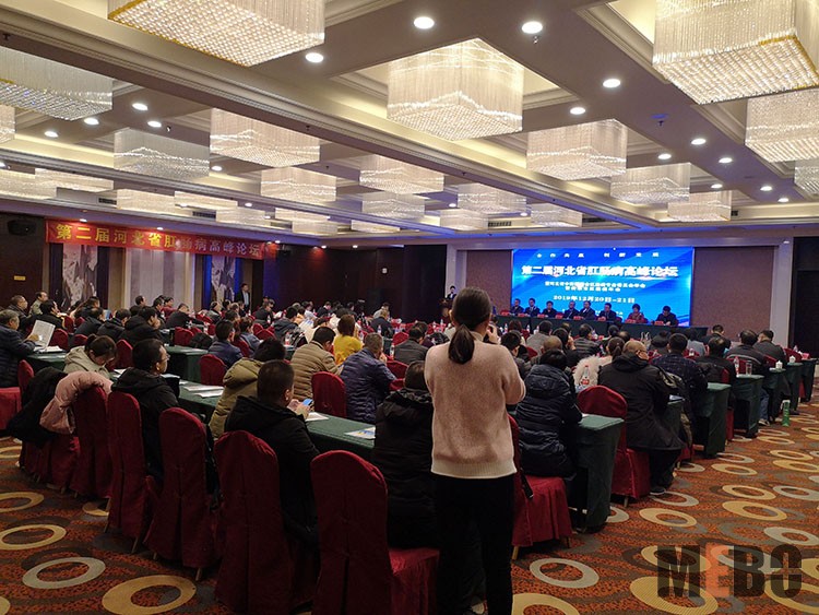 威客电竞(vkgame)-为竞技而生