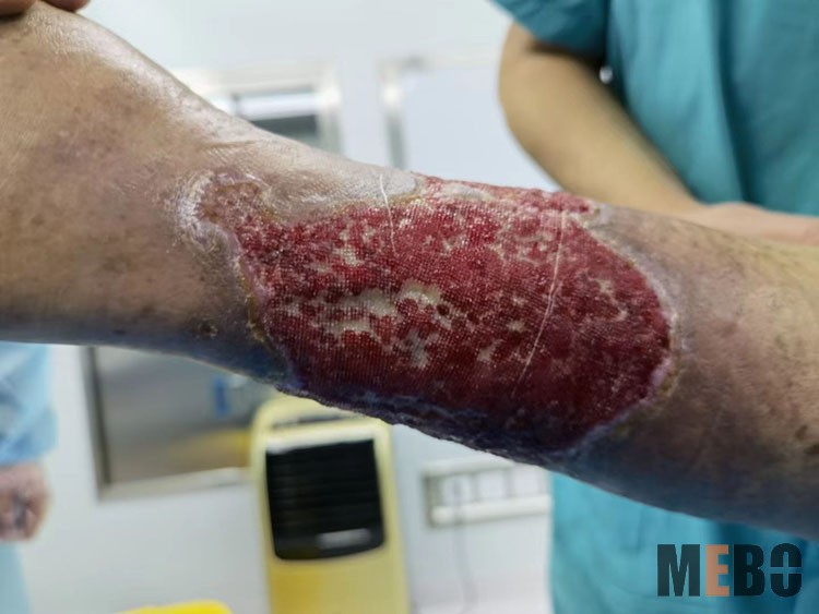 威客电竞(vkgame)-为竞技而生