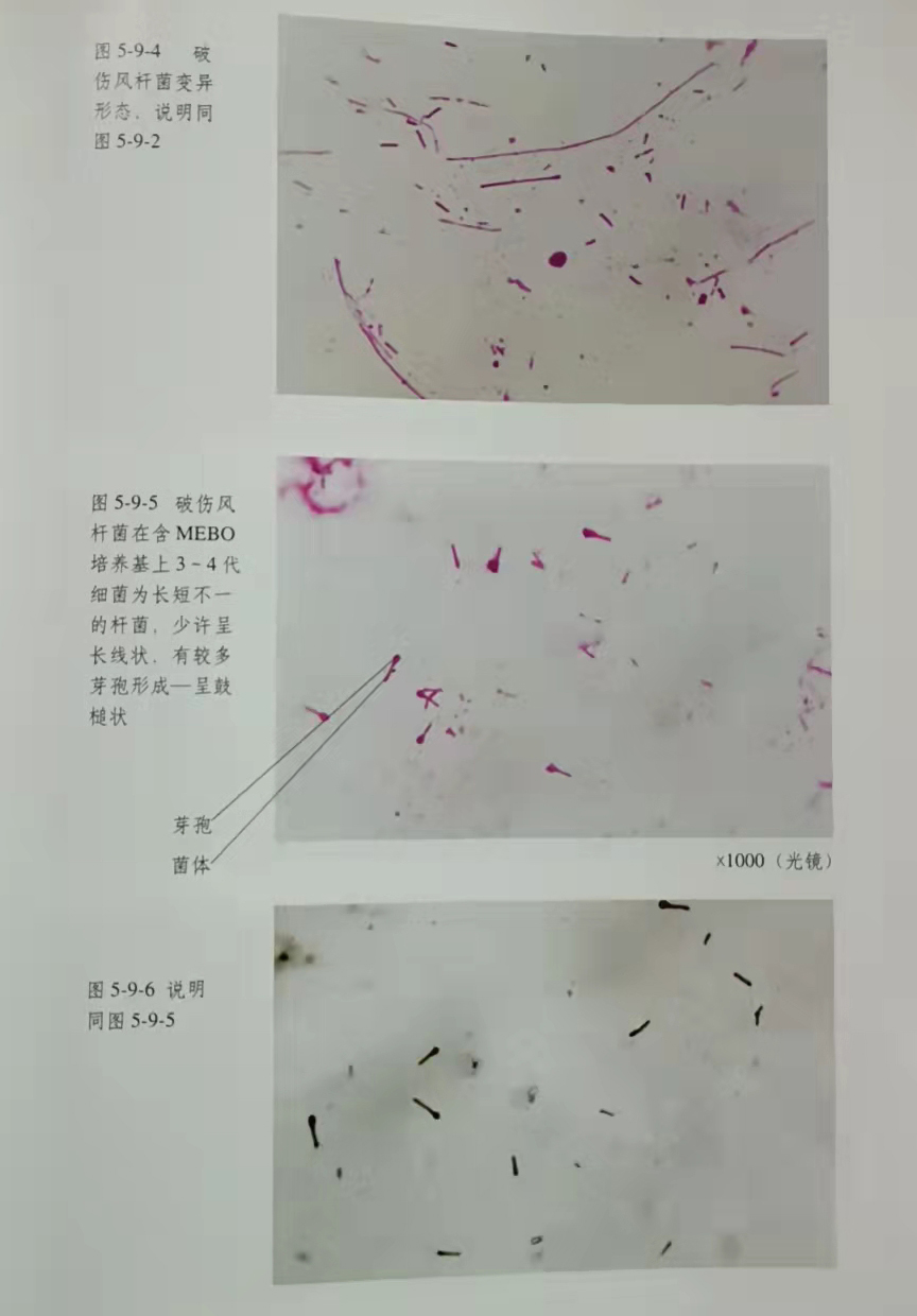 威客电竞(vkgame)-为竞技而生