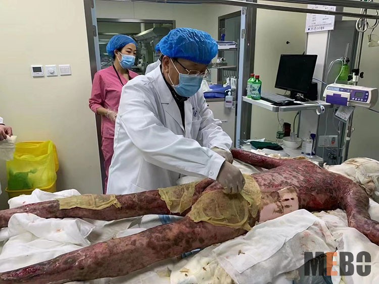 威客电竞(vkgame)-为竞技而生