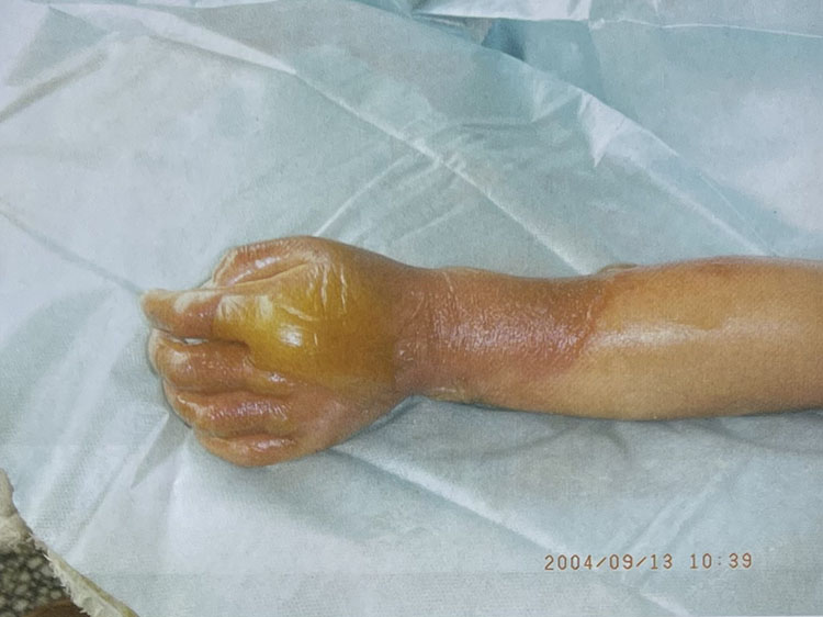 威客电竞(vkgame)-为竞技而生