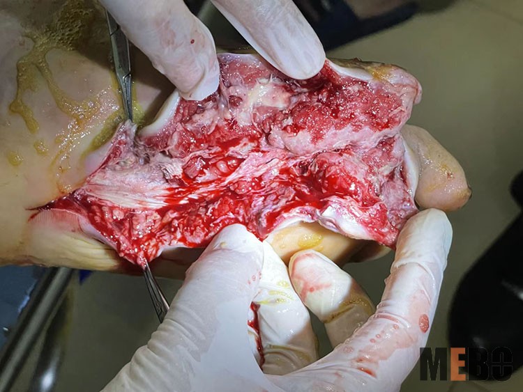 威客电竞(vkgame)-为竞技而生