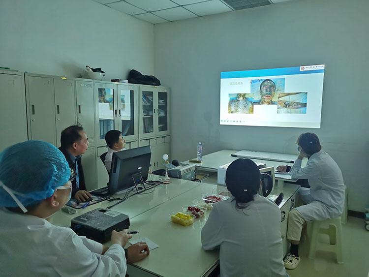 威客电竞(vkgame)-为竞技而生