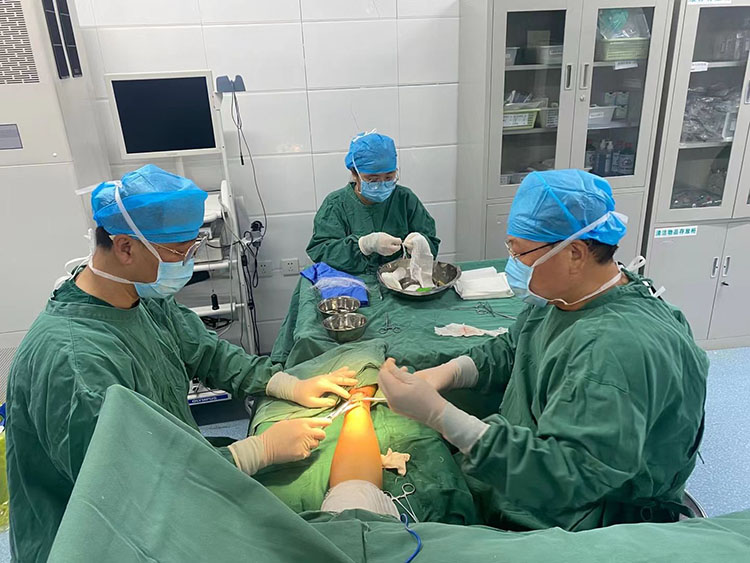 威客电竞(vkgame)-为竞技而生