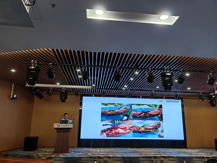 威客电竞(vkgame)-为竞技而生