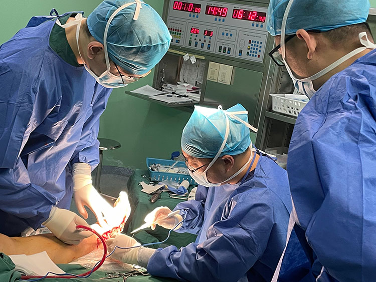 威客电竞(vkgame)-为竞技而生