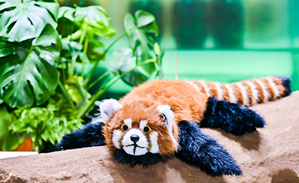 威客电竞(vkgame)-为竞技而生