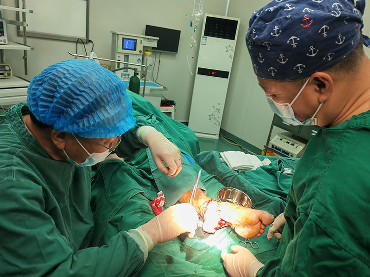 威客电竞(vkgame)-为竞技而生