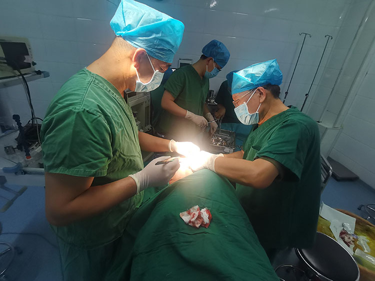 威客电竞(vkgame)-为竞技而生