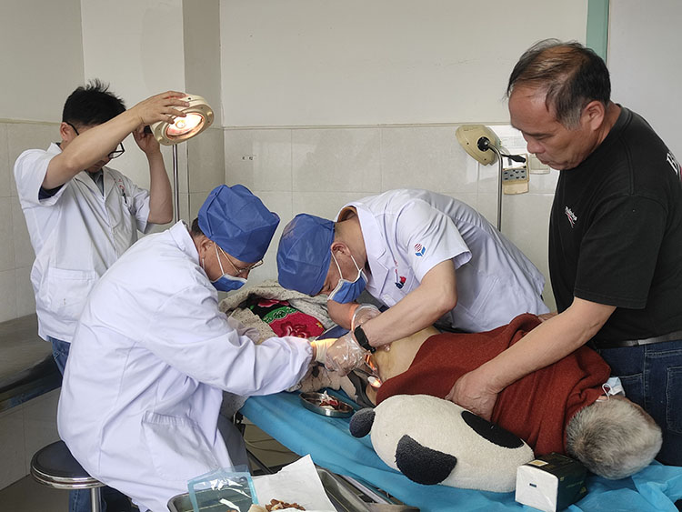 威客电竞(vkgame)-为竞技而生