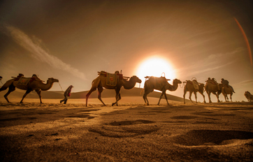 威客电竞国际 “一带一起”建议培训平台