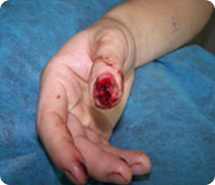 威客电竞(vkgame)-为竞技而生