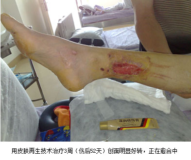 威客电竞(vkgame)-为竞技而生