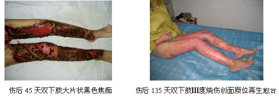 威客电竞(vkgame)-为竞技而生