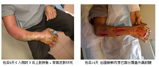 威客电竞(vkgame)-为竞技而生