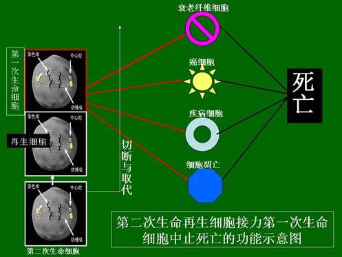 威客电竞(vkgame)-为竞技而生