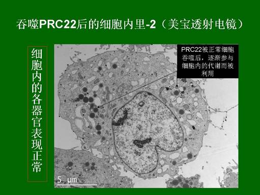 威客电竞(vkgame)-为竞技而生