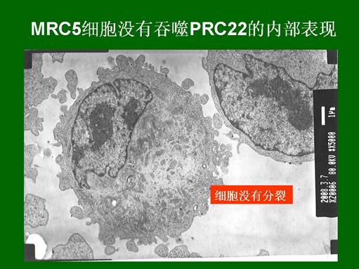 威客电竞(vkgame)-为竞技而生