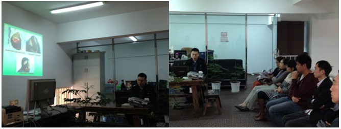 威客电竞(vkgame)-为竞技而生