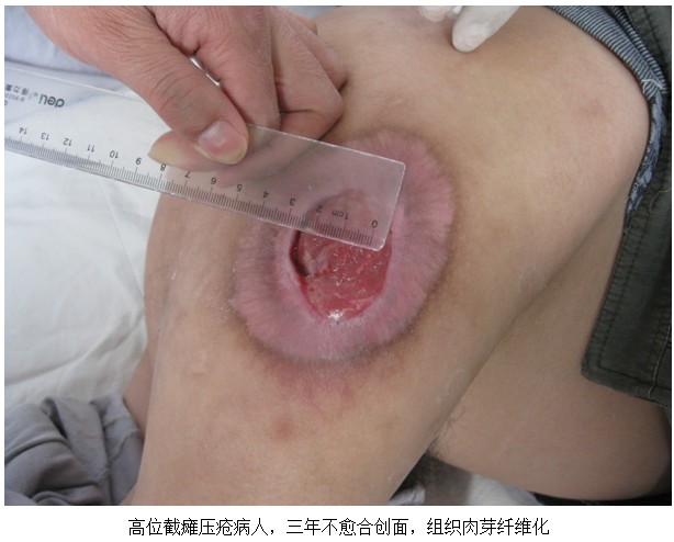 威客电竞(vkgame)-为竞技而生