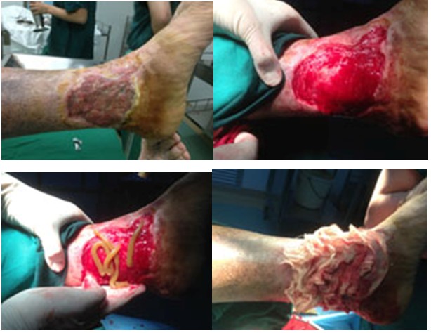 威客电竞(vkgame)-为竞技而生