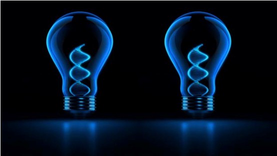 威客电竞(vkgame)-为竞技而生