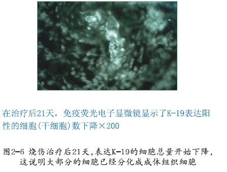 威客电竞(vkgame)-为竞技而生