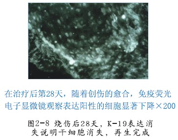 威客电竞(vkgame)-为竞技而生