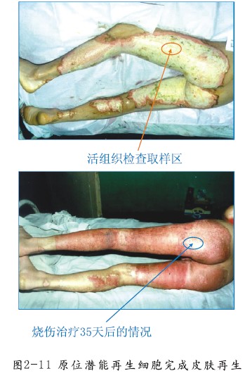 威客电竞(vkgame)-为竞技而生