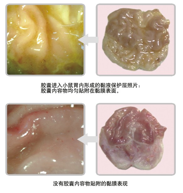 威客电竞(vkgame)-为竞技而生