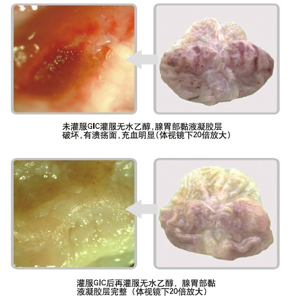 威客电竞(vkgame)-为竞技而生