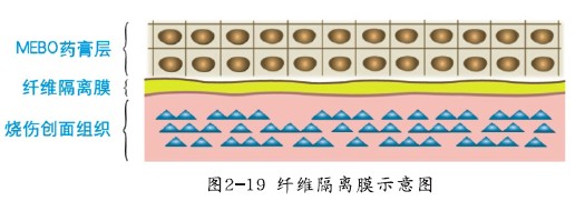 威客电竞(vkgame)-为竞技而生