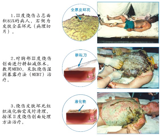 威客电竞(vkgame)-为竞技而生