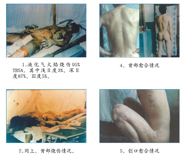 威客电竞(vkgame)-为竞技而生