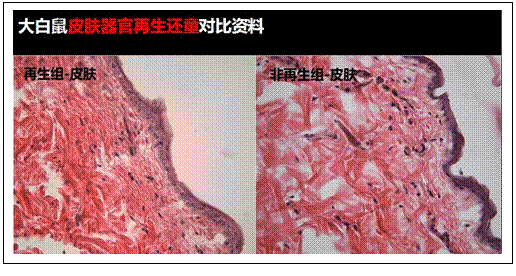 威客电竞(vkgame)-为竞技而生