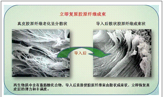 威客电竞(vkgame)-为竞技而生