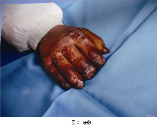 威客电竞(vkgame)-为竞技而生