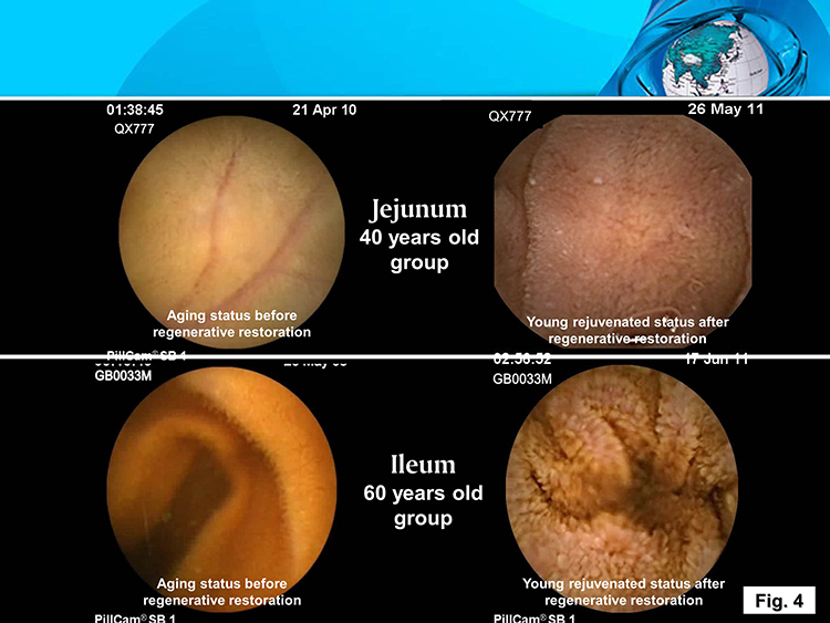 威客电竞(vkgame)-为竞技而生