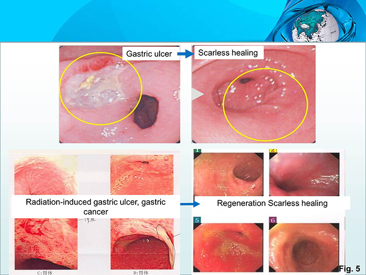 威客电竞(vkgame)-为竞技而生