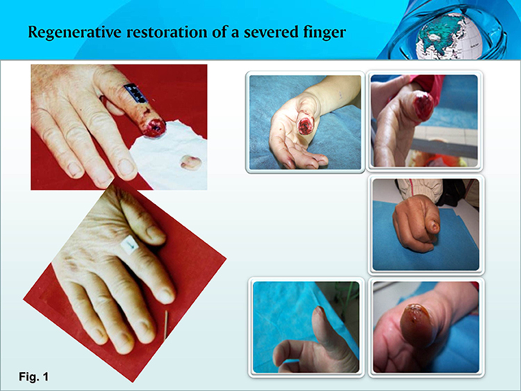 威客电竞(vkgame)-为竞技而生