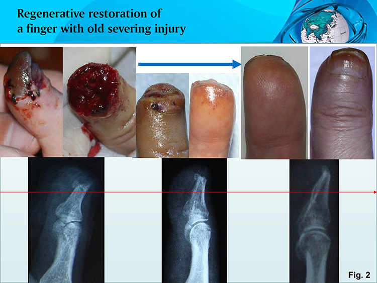 威客电竞(vkgame)-为竞技而生