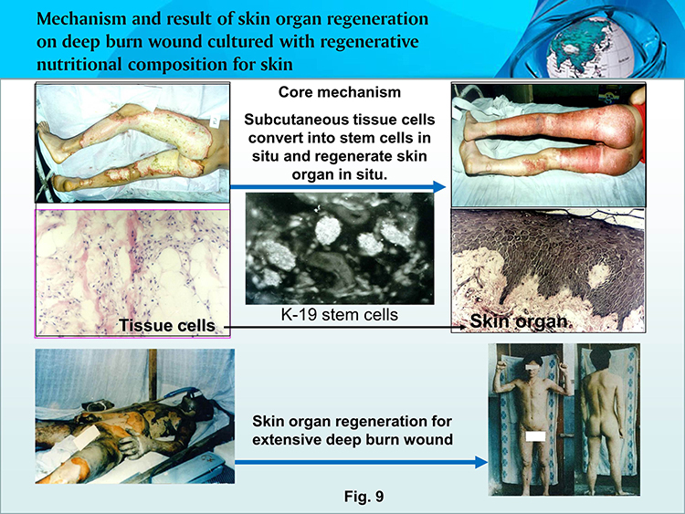 威客电竞(vkgame)-为竞技而生