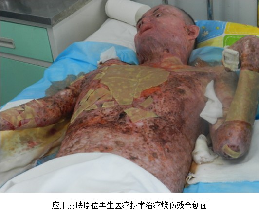 威客电竞(vkgame)-为竞技而生