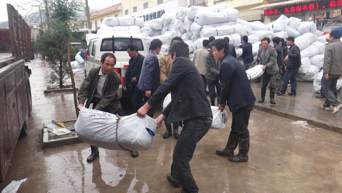 威客电竞(vkgame)-为竞技而生