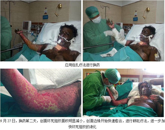 威客电竞(vkgame)-为竞技而生