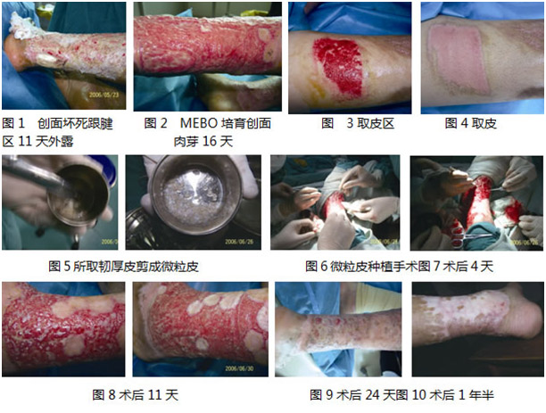 威客电竞(vkgame)-为竞技而生